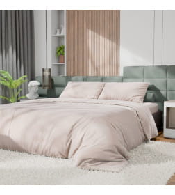 Постельное бельё Этель Дуэт Tencel 155*210см-2шт, 230*245см, 50*70см-2шт, цвет бежевый
