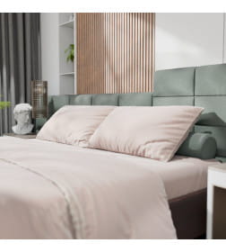 Постельное бельё Этель Дуэт Tencel 155*210см-2шт, 230*245см, 50*70см-2шт, цвет бежевый