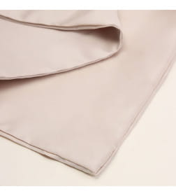 Постельное бельё Этель Дуэт Tencel 155*210см-2шт, 230*245см, 50*70см-2шт, цвет бежевый