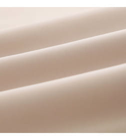Постельное бельё Этель Дуэт Tencel 155*210см-2шт, 230*245см, 50*70см-2шт, цвет бежевый