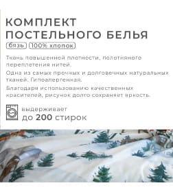 Постельное бельё "Этель" Евро Winter village 200*217 см, 220*240 см, 70*70 см - 2 шт, бязь 125гр/м2