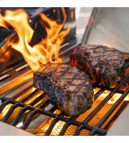 Гриль газовый Nexgrill Deluxe GBS 4B + 2B, черный
