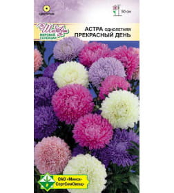 Астра Прекрасный день см 0.1г