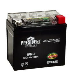 Аккумулятор President Innovation IGel AGM 1205 5Ah (YTX5L-BS IGEL) кнопочная индикация