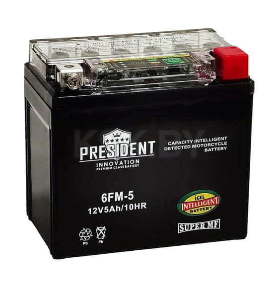 Аккумулятор President Innovation IGel AGM 1205 5Ah (YTX5L-BS IGEL) кнопочная индикация