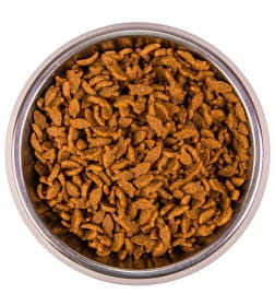 Сухой корм Monge Cat Speciality Line Monoprotein Adult для взрослых кошек, из лосося 10кг