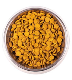Сухой корм Monge Cat Speciality Line Monoprotein Sterilised для стерилизованных кошек, из утки 10кг