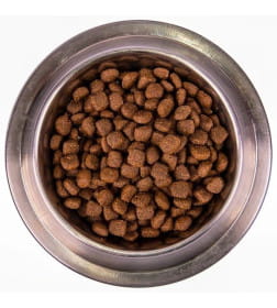 Сухой корм Monge Dog Speciality Line Monoprotein для взрослых собак всех пород, из утки с рисом и картофелем 12кг