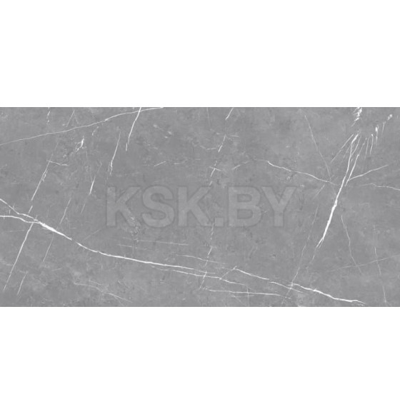 Керамогранит Eternal ALCORA GRIS matt 1200х600 мм (ETSTN1203MT60120) 