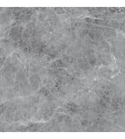 Керамогранит Eternal MADONA GREY matt  600х600 мм