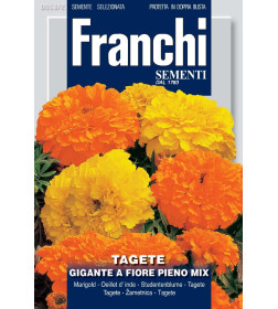 Бархатцы Гигант смесь  1г. семена  Franchi.