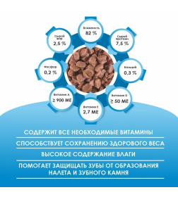 Корм для кошек с Рыбой в соусе ТМ "Kissa" полнорационный (пауч-пакет) 75г