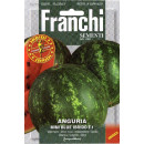 Арбуз Мини Блю F1 0,25 г семена  Franchi