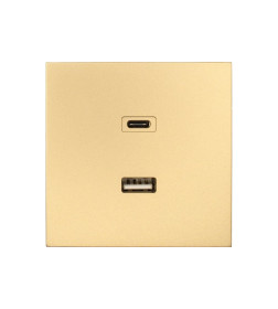 Розетка TC + USB разъем золото Lezard ZIMA 704-3688-192TC