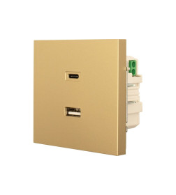Розетка TC + USB разъем золото Lezard ZIMA 704-3688-192TC