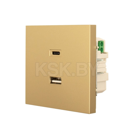 Розетка TC + USB разъем золото Lezard ZIMA 704-3688-192TC (704-3688-192TC) 