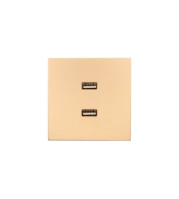 Розетка 2-я USB разъем золото Lezard ZIMA 704-3688-192