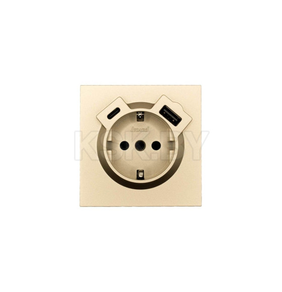 Розетка 1-я с з/к TC + USB разъем золото Lezard ZIMA 704-3688-181TC (704-3688-181TC) 
