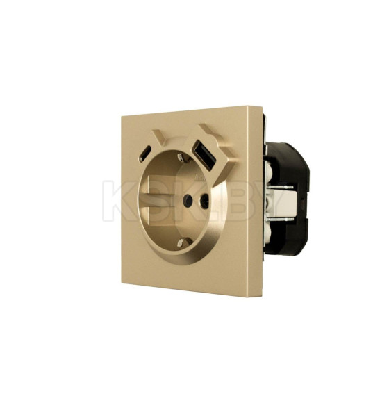Розетка 1-я с з/к TC + USB разъем золото Lezard ZIMA 704-3688-181TC (704-3688-181TC) 