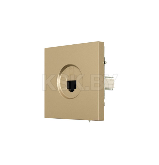 Розетка компьютерная 1-я золото Lezard ZIMA 704-3688-140 (704-3688-140) 