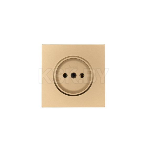 Розетка 1-я ПБТ золото безвинтовой зажим/клемма Lezard ZIMA 704-3688-121BQC (704-3688-121BQC) 