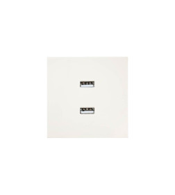 Розетка 2-я USB разъем слоновая кость Lezard ZIMA 704-9088-192