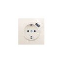 Розетка 1-я с з/к + USB разъем слоновая кость Lezard ZIMA 704-9088-181 (704-9088-181) 