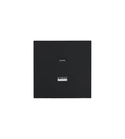 Розетка TC + USB разъем черный бархат Lezard ZIMA 704-4288-192TC