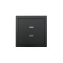 Розетка с 2-я USB разъем черный бархат Lezard ZIMA 704-4288-192 (704-4288-192) 