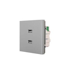Розетка 2-я USB разъем серый матовый Lezard ZIMA 704-7488-192