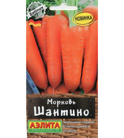 Морковь Шантино 2 г