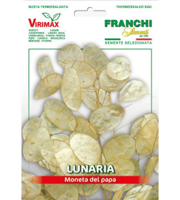 Лунария Franchi