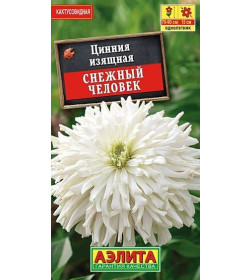 Цинния Снежный человек кактусовидная семена