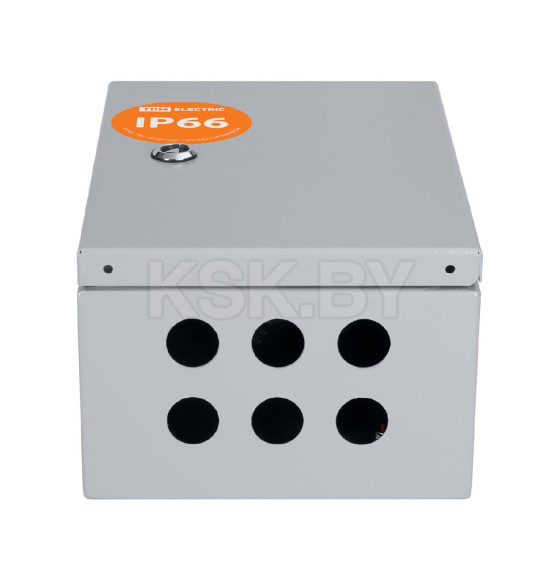 Щит с монтажной панелью ЩМП-3.2.1-0 IP66 (300х210х150 мм) TDM SQ0905-0074 (SQ0905-0074)