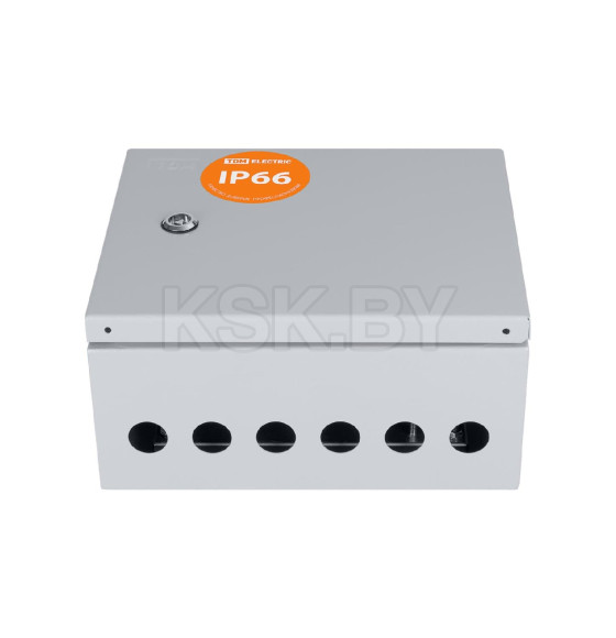 Щит с монтажной панелью ЩМП-2.3.1-0 IP66 (250х300х150 мм) TDM SQ0905-0076 (SQ0905-0076)