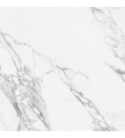 Керамогранит Glossy Ceramic Vitrified Tiles Arctic Statuario  600x600 мм