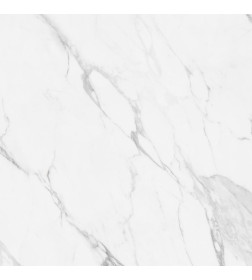 Керамогранит Glossy Ceramic Vitrified Tiles Arctic Statuario  600x600 мм