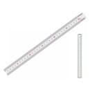 Линейка 300 мм DYLLU DTRU1330 (DTRU1330) 