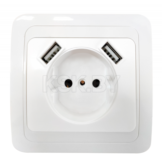 Розетка 1-я с 2 USB белая CLASSICO 2147 IN HOME 4690612035260 (4690612035260)