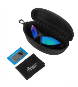 Очки поляризационные в жест.чехле (синий/фиолет.) (PR-OP-2219-C-CV) PREMIER