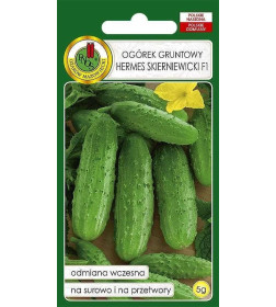 Огурец Хермес Скерневицкий инкрустированный F1 5г. (семена) "PNOS
