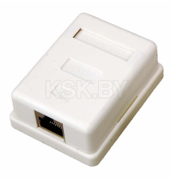 Розетка компьютерная 1-я RJ-45 CAT5e о/у REXANT 03-0122 (03-0122) 