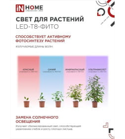Лампа светодиодная LED-T8-FITO 20Вт 230В G13 1200 мм IN HOME 4690612033761