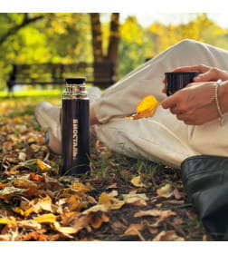 Термос БИОСТАЛЬ NB-N  500 мл (ночное небо)