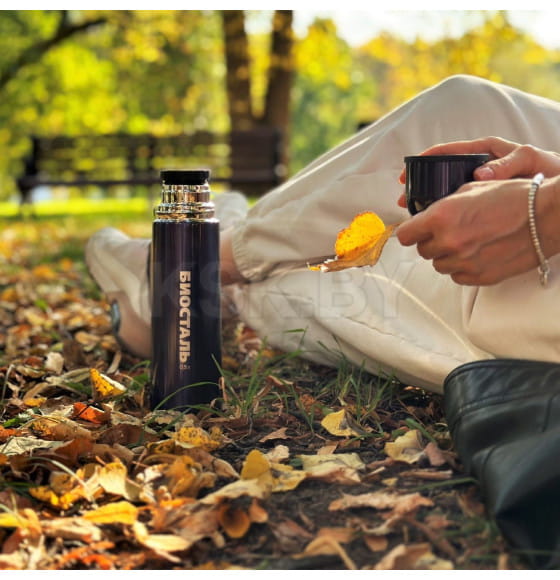 Термос БИОСТАЛЬ NB-N  500 мл (ночное небо)