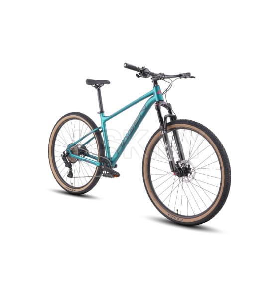 Велосипед Hagen 1.10, 2025, темный изумруд, металлик, колесо 29, размер L(18) (H25M110DE29L) 