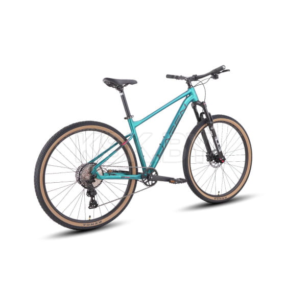 Велосипед Hagen 1.10, 2025, темный изумруд, металлик, колесо 29, размер L(18) (H25M110DE29L) 