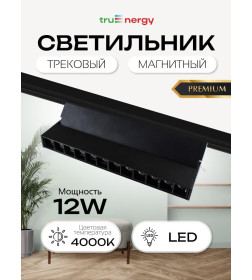 Светильник магнитный 12W 48V 4000K черный (31006) MAGNETIC TRACK LED Tru Energy