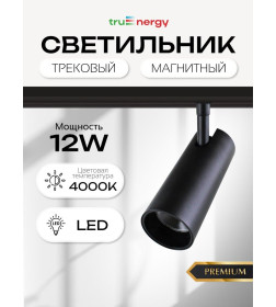 Светильник магнитный 12W 48V 4000K черный (31007) MAGNETIC TRACK LED Tru Energy