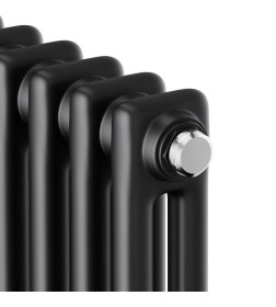 Дизайн-радиатор Royal Thermo Insignia C2180 6 секций RAL9005m